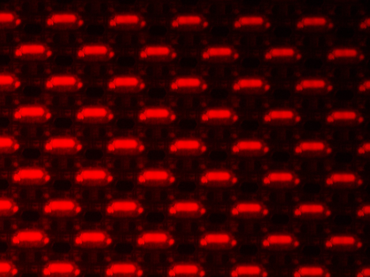 圖一：OLED (有機發光二極體)面板在LV150ND的20X EPI螢石物鏡下，使用TRITC螢光濾片組進行觀察拍照