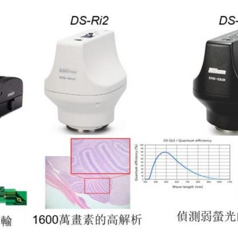 Nikon Fi3, Ri2, Qi2顯微鏡專用數位影像系統