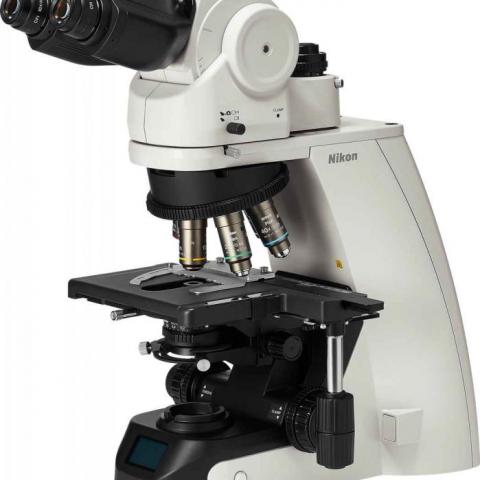 Nikon Eclipse Ci-L 臨床級正立顯微鏡